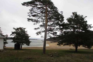 Pita beach. Cuerda del Pozo lake, Soria, Castille and Leon, Spain